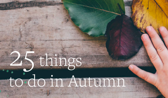 NATURE PLAY SA'S 25 THINGS TO DO IN AUTUMN - KIDDO Mag