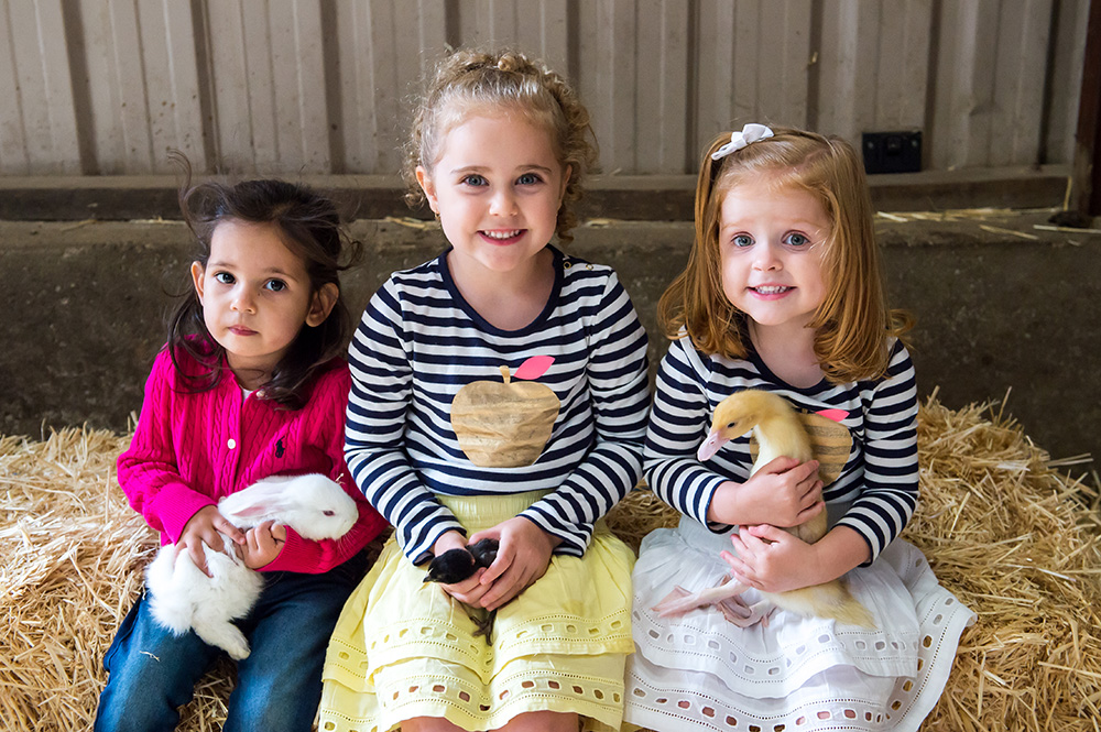 Hahndorf Farm Barn Birthday Party