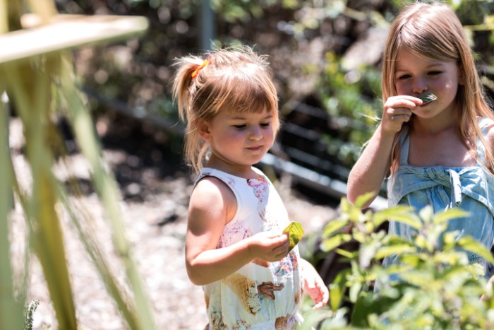 Review: Patch Kitchen and Garden - KIDDO Mag