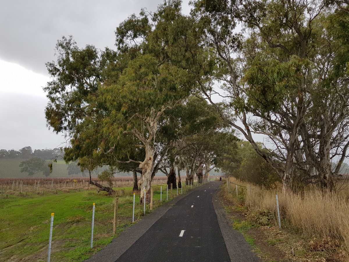  McLaren Flat to McLaren Vale Trail