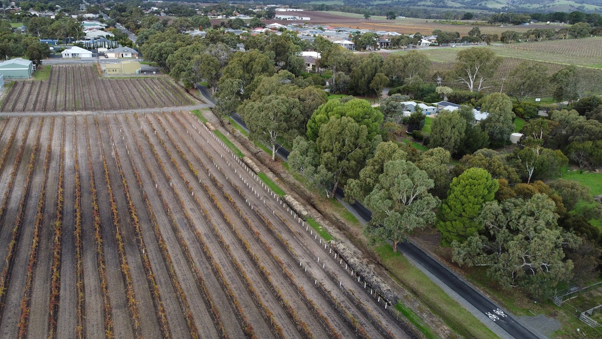  McLaren Flat to McLaren Vale Trail