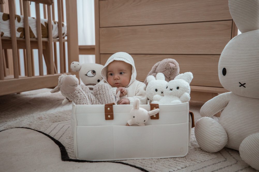 baby change caddie