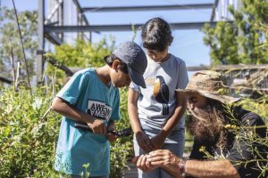 Junior Landcare costa georgiadis