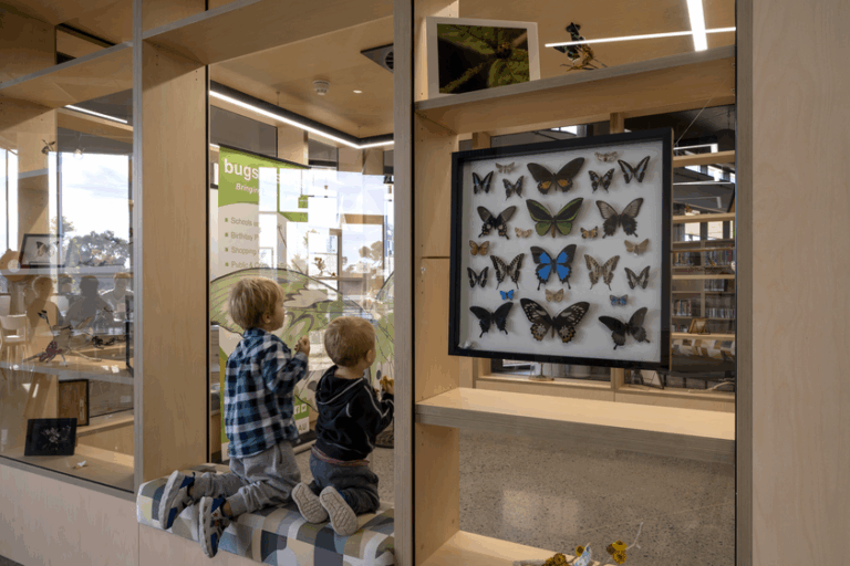 Charles Sturt Libraries school holidays program KIDDO Mag