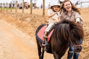 hahndorf farm barn school holidays