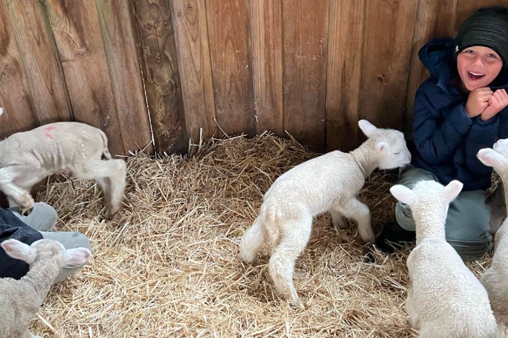 hahndorf farm barn school holidays