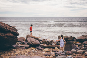 become- a reef explorer at Nature Festival