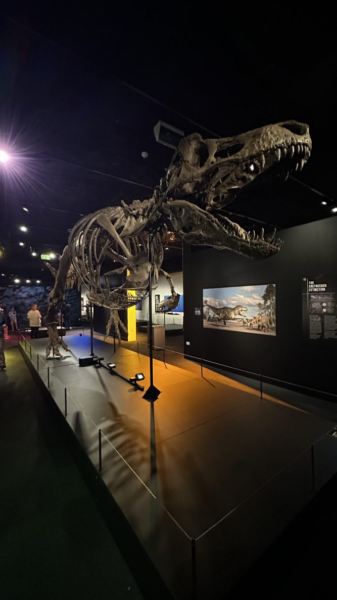 Six extinctions Exhibition life style trex