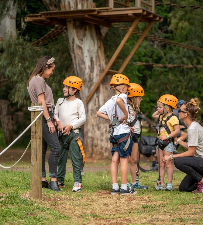 Treeclimb Kuitpo Forest