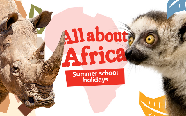 Adelaide Zoo School Holiday Program