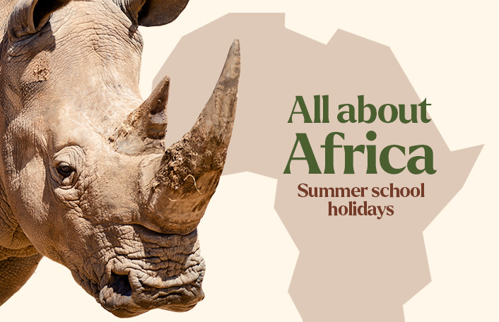 All about africa summer school holiday program monarto zoo