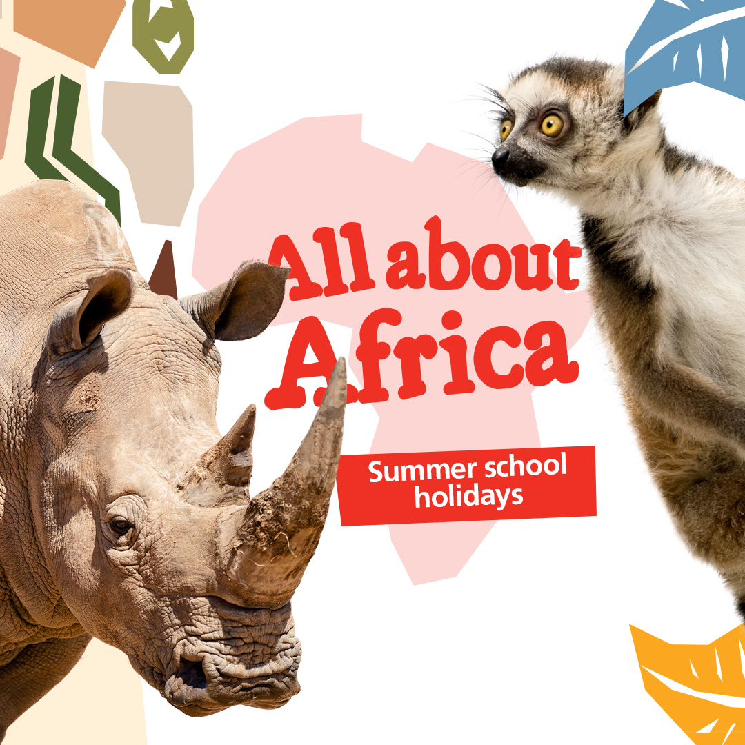 All about Africa Monarto School Holiday Program