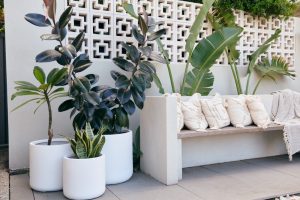 Plant resort pop up in Adelaide