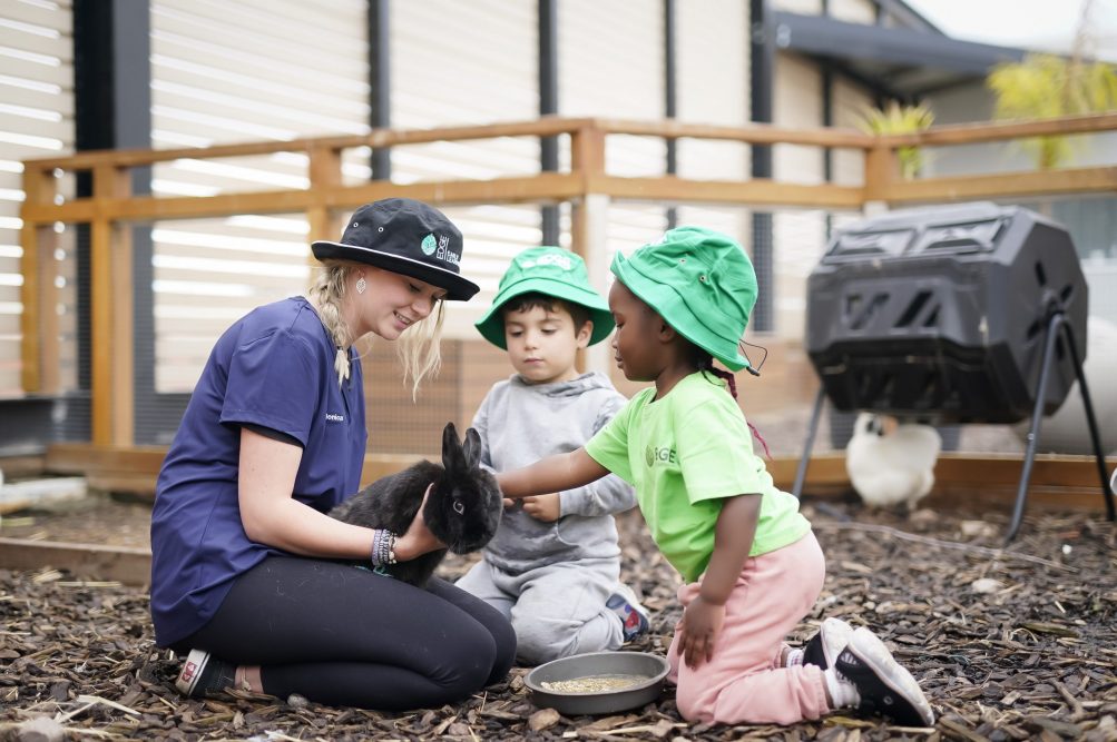 animals at edge early learning