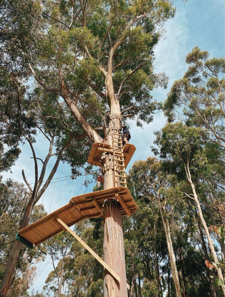 TreeClimb Kuitpo