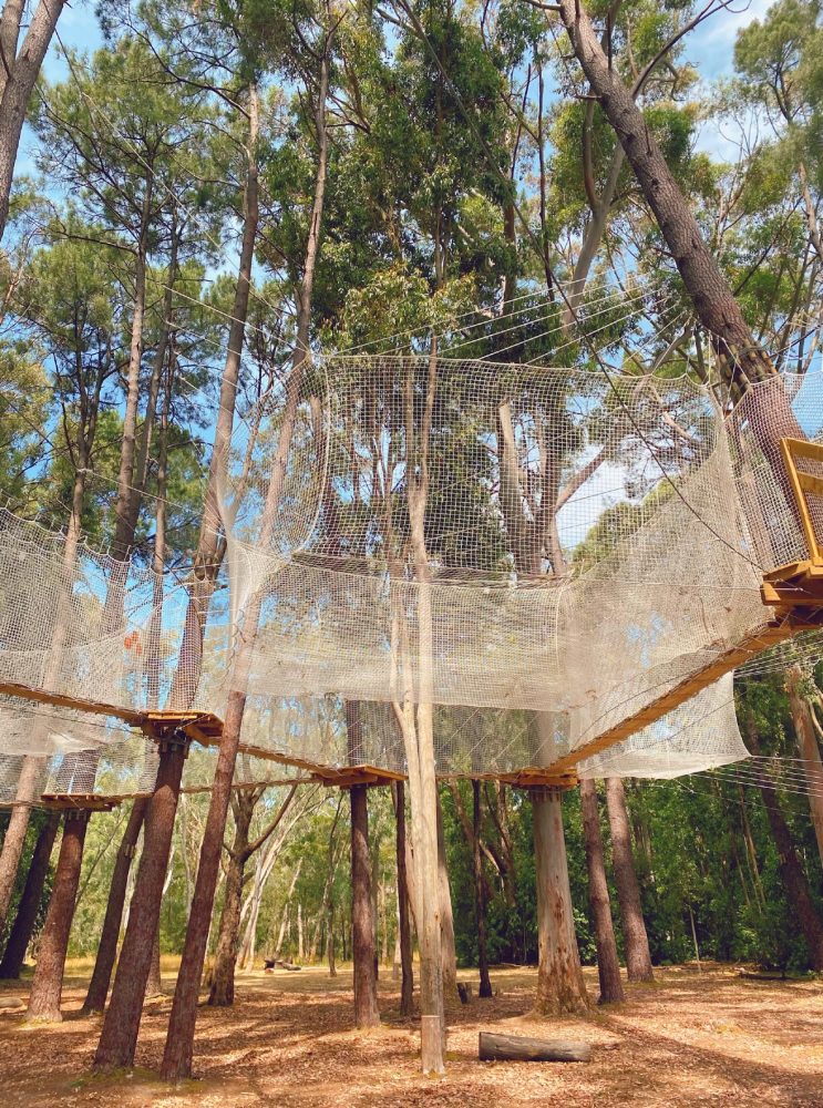 TreeClimb Nets Course