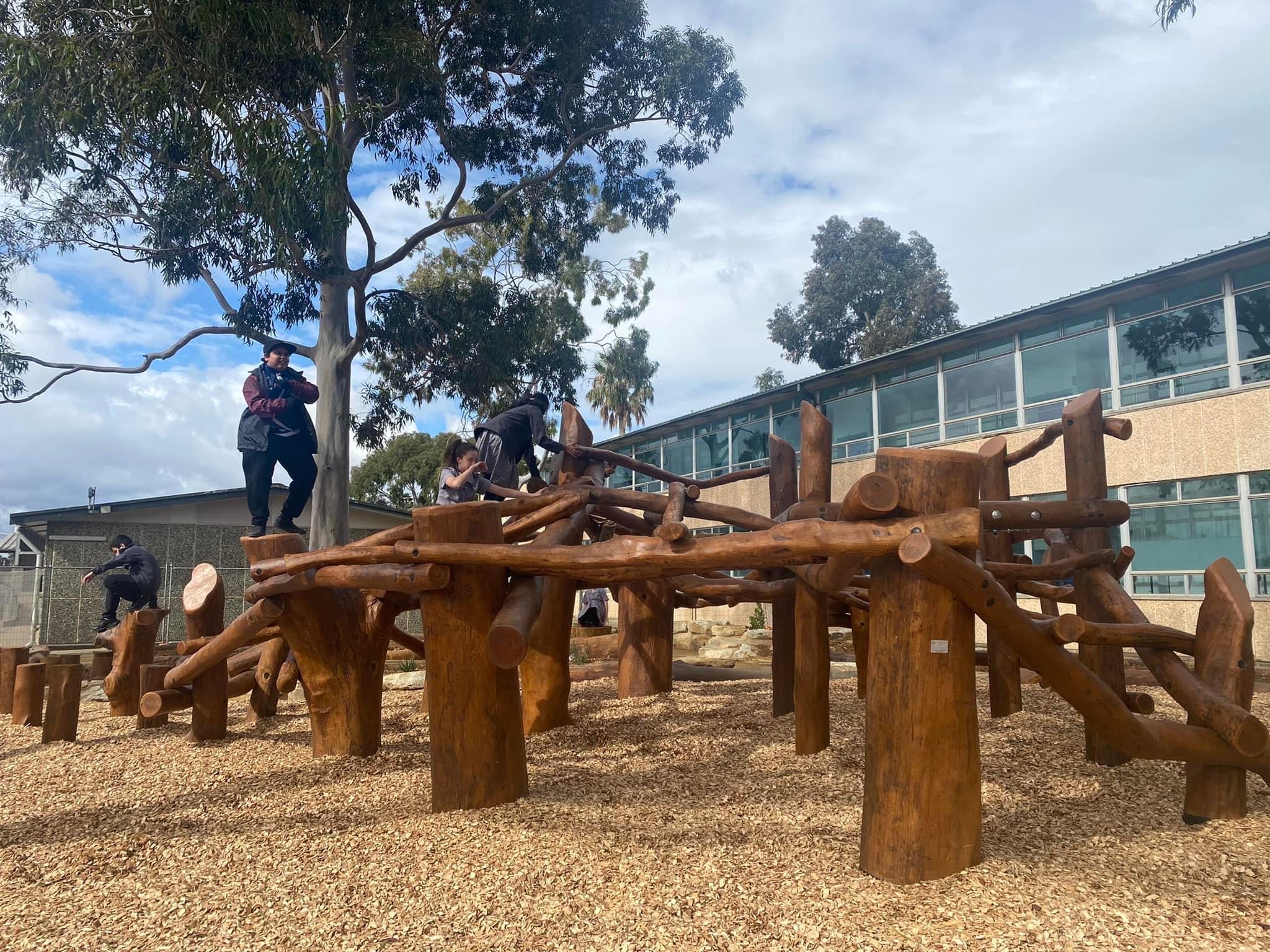 Teens need play structures too