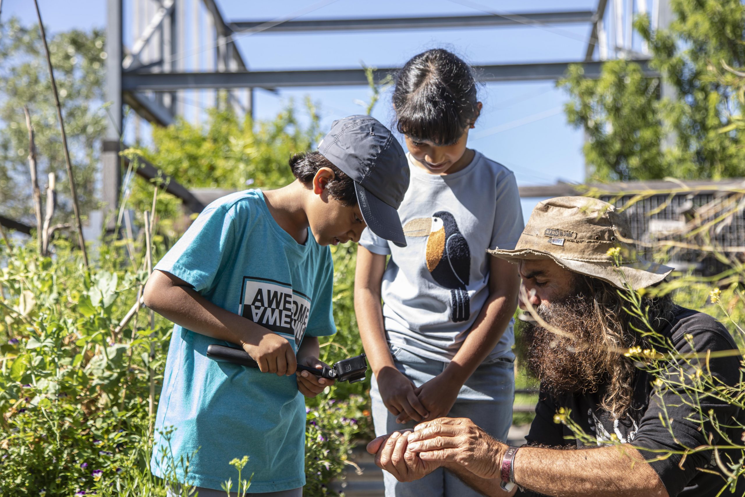 teaching kids about landcare