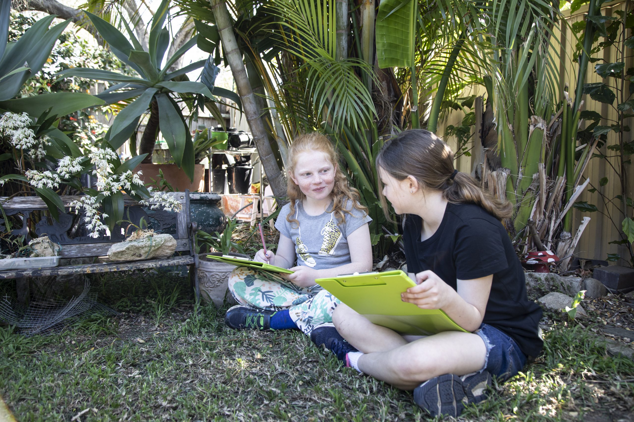 Landcare activities for kids