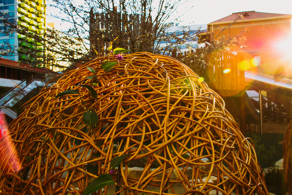 Play structures at St Aloysius College