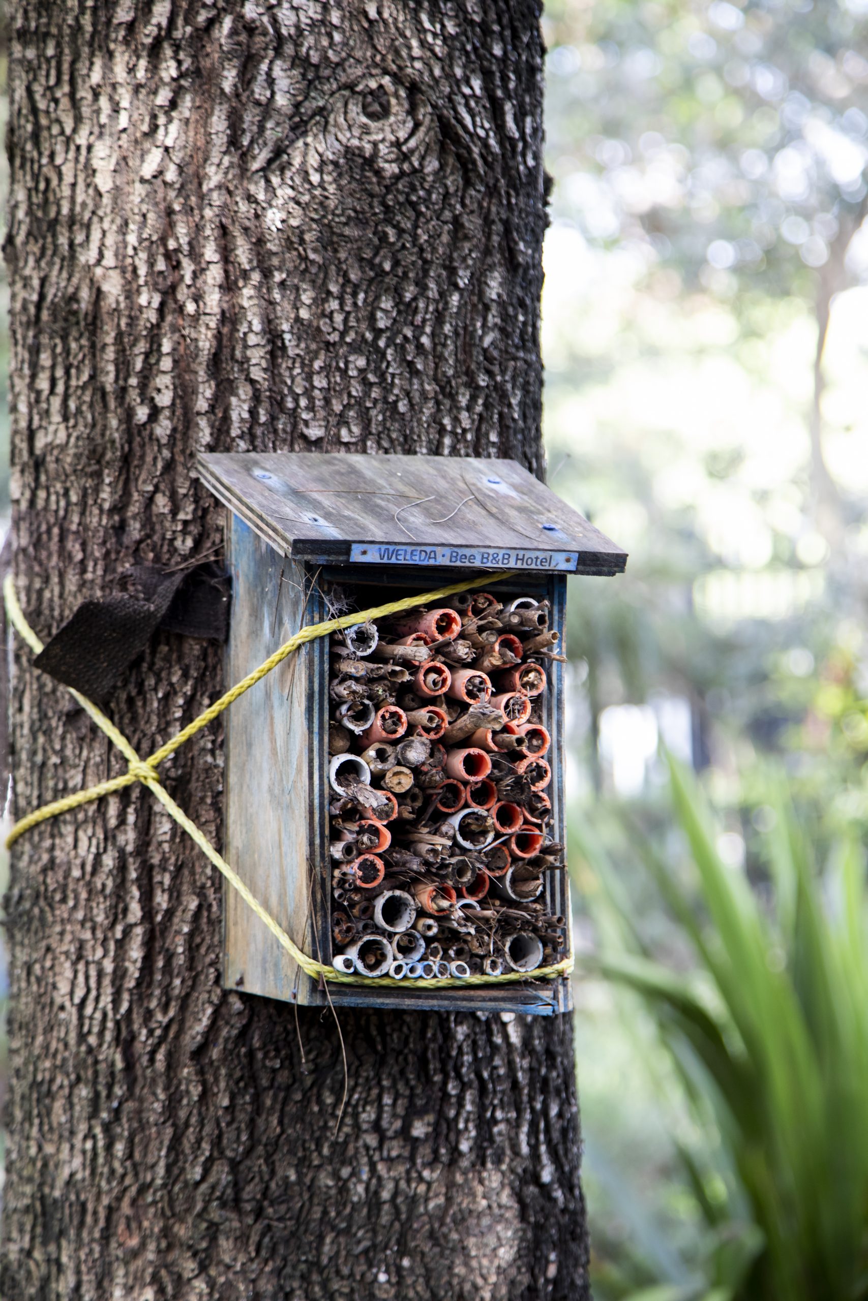 Bee Hotel