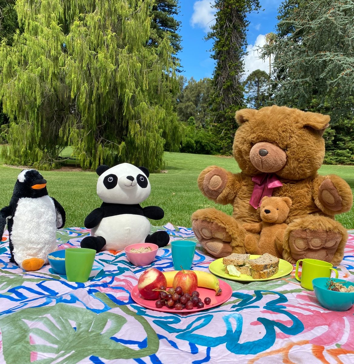 Teddy Bears' Picnic and SA Police Band | KIDDO Mag