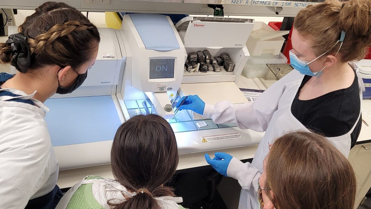 SAHMRI work experience program - KIDDO Mag