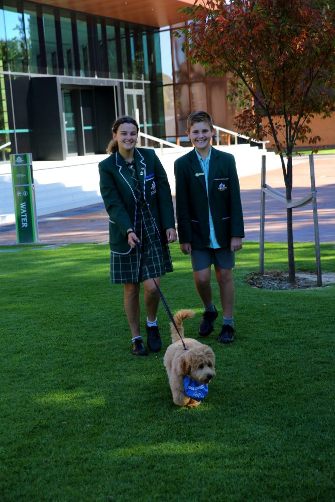 Wellbeing at Westminster school