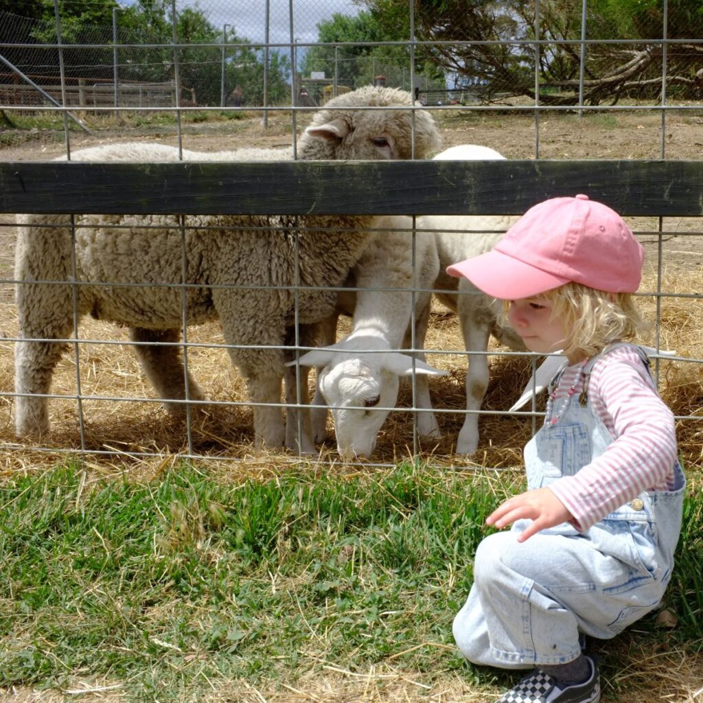 hahndorf-farm-barn-autumn-school-holidays-kiddo-mag