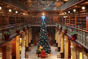 State Library of South Australia's Giant Christmas tree in Mortlock Chamber