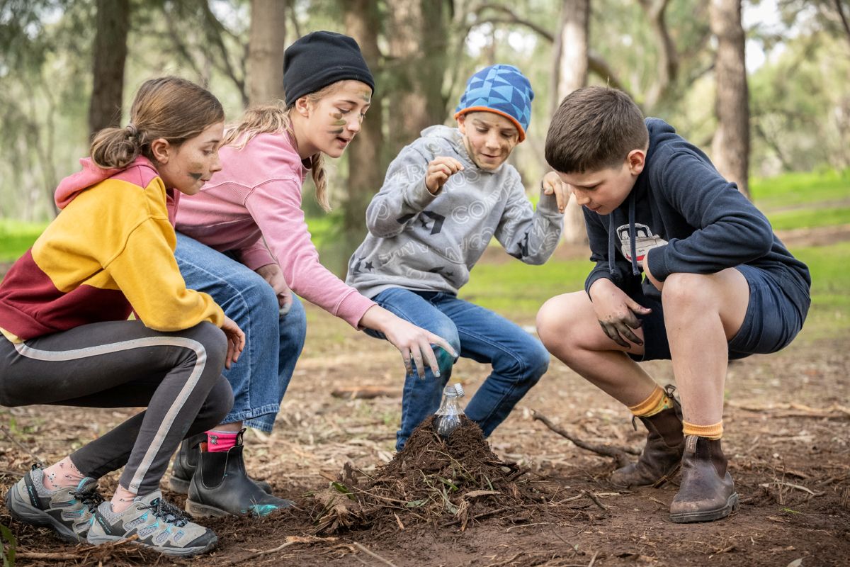 Four children planting young trees in a lush green forest, surrounded by nature and sunlight filtering through the leaves.