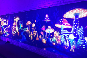 A vibrant mural featuring various colorful mushrooms painted on a large wall.