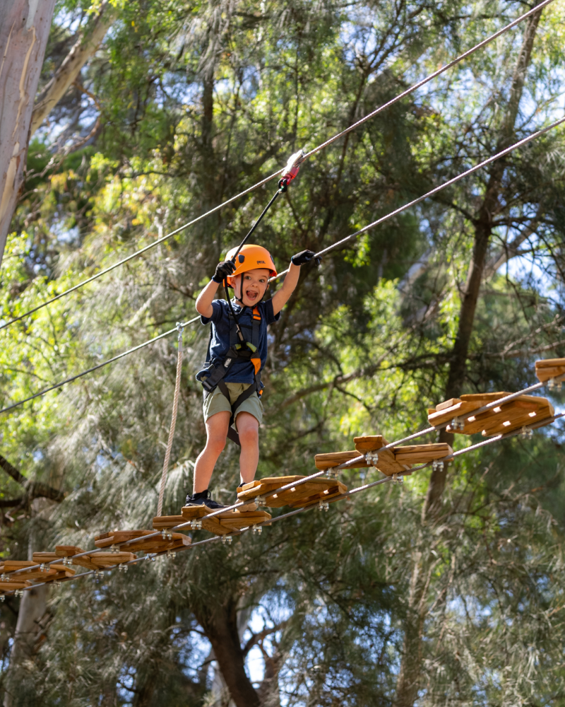 A young boy joyfully glides on a zip line through a lush green forest, surrounded by trees and sunlight.