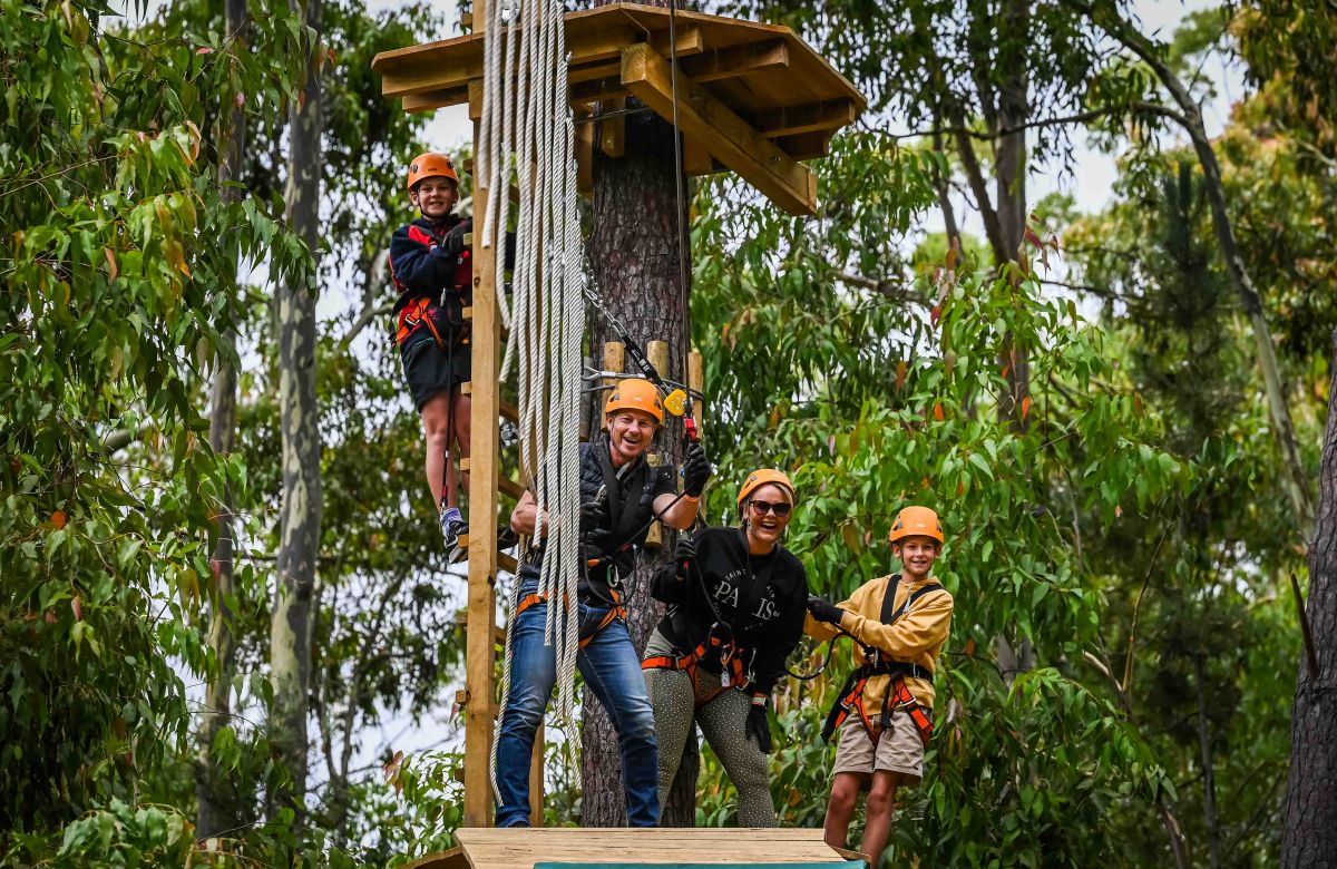 A group of people soaring on a zipline through a lush green forest.