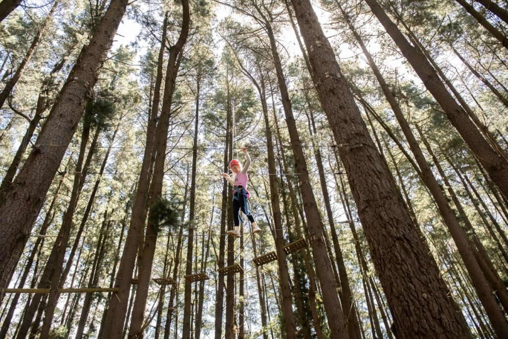 A person suspended on a rope in a dense forest, surrounded by tall trees and greenery.