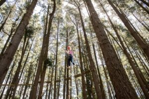 A person suspended on a rope in a dense forest, surrounded by tall trees and greenery.