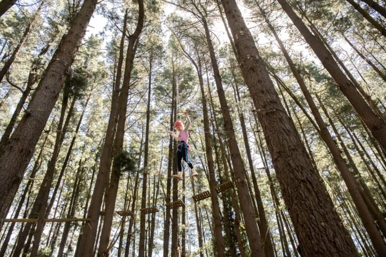 A person suspended on a rope in a dense forest, surrounded by tall trees and greenery.