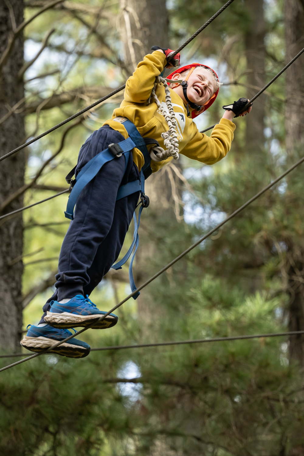 A young boy glides on a zip line through a lush green forest, enjoying an adventurous outdoor experience.