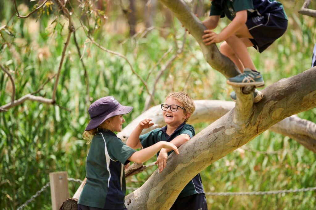 Three children joyfully climbing on a sturdy tree branch, smiling and enjoying their outdoor adventure.