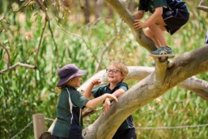 Three children joyfully climbing on a sturdy tree branch, smiling and enjoying their outdoor adventure.