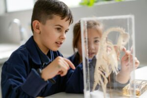 Two children observe a skeleton displayed in a glass case, intrigued by the exhibit in a museum setting.