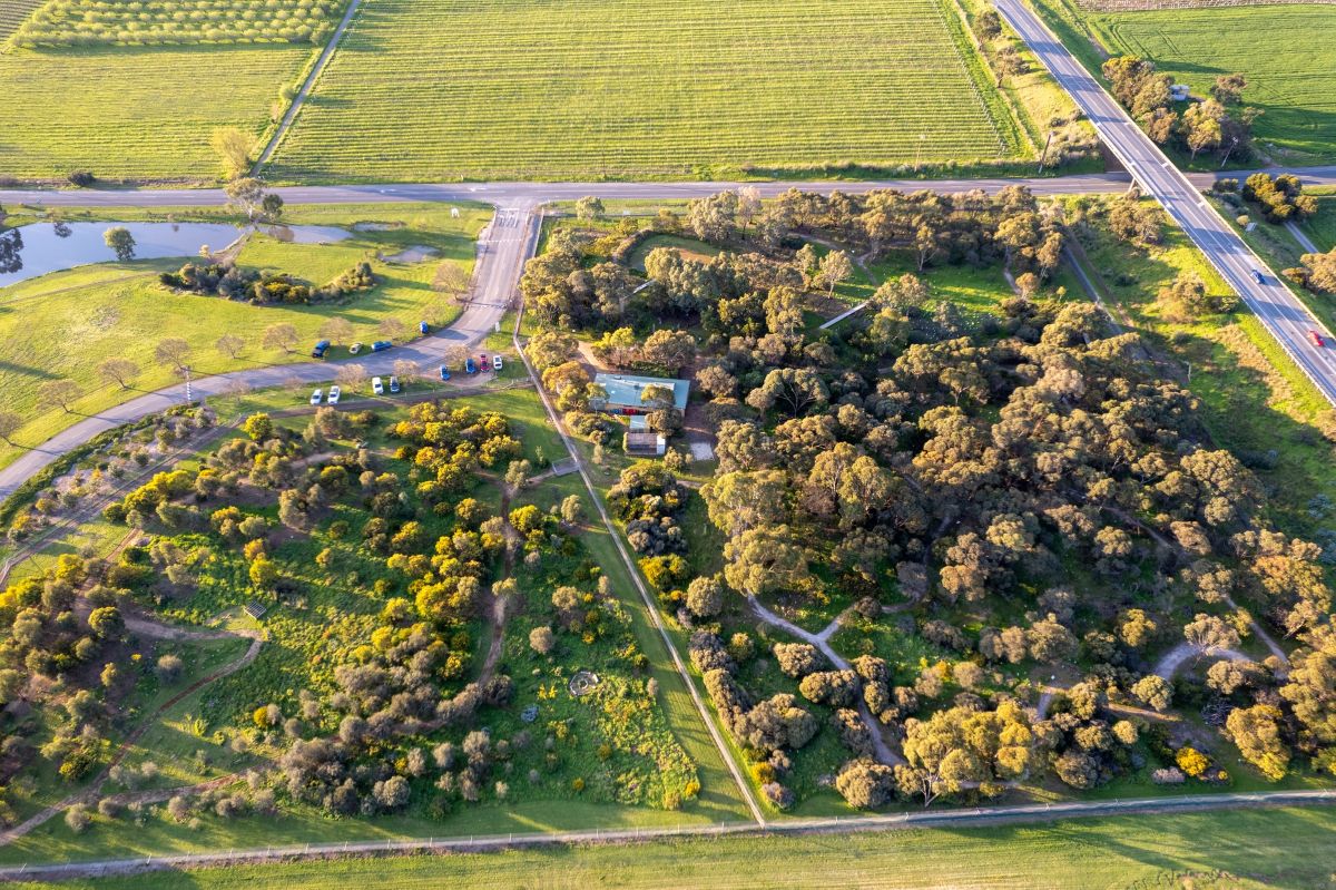 Aerial view showcasing a green park surrounded by a winding road, highlighting the natural landscape and urban connection.