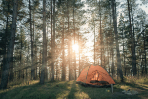 A tent is pitched in a lush green forest, surrounded by tall trees and dappled sunlight filtering through the leaves.