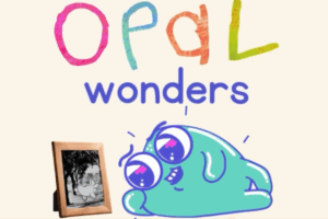 Cover art for Opal Wonders series.