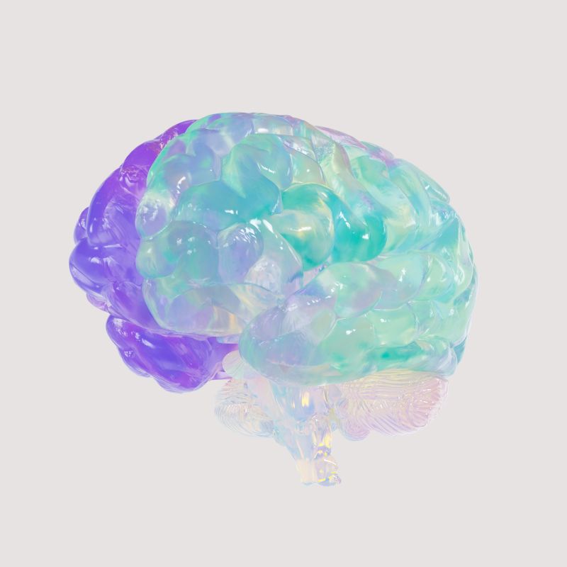 A brain illustration featuring colorful bubbles representing thoughts or ideas within it.
