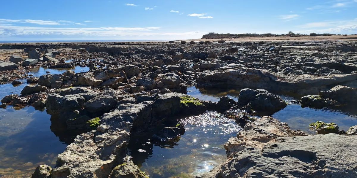 Coastal shoreline.
