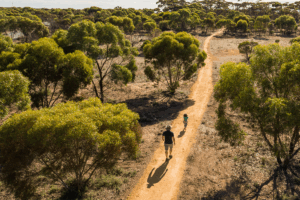 A man and a child stroll together along a dirt road surrounded by greenery.