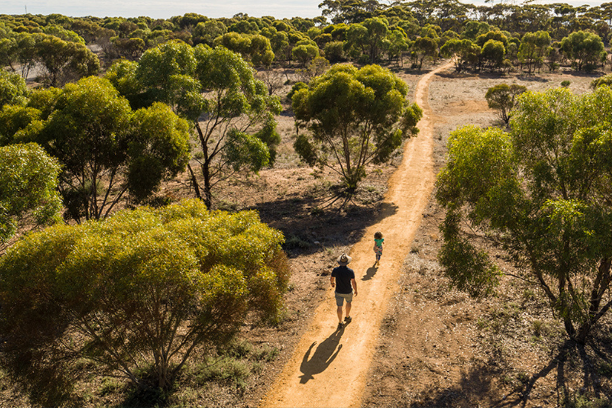A man and a child stroll together along a dirt road surrounded by greenery.