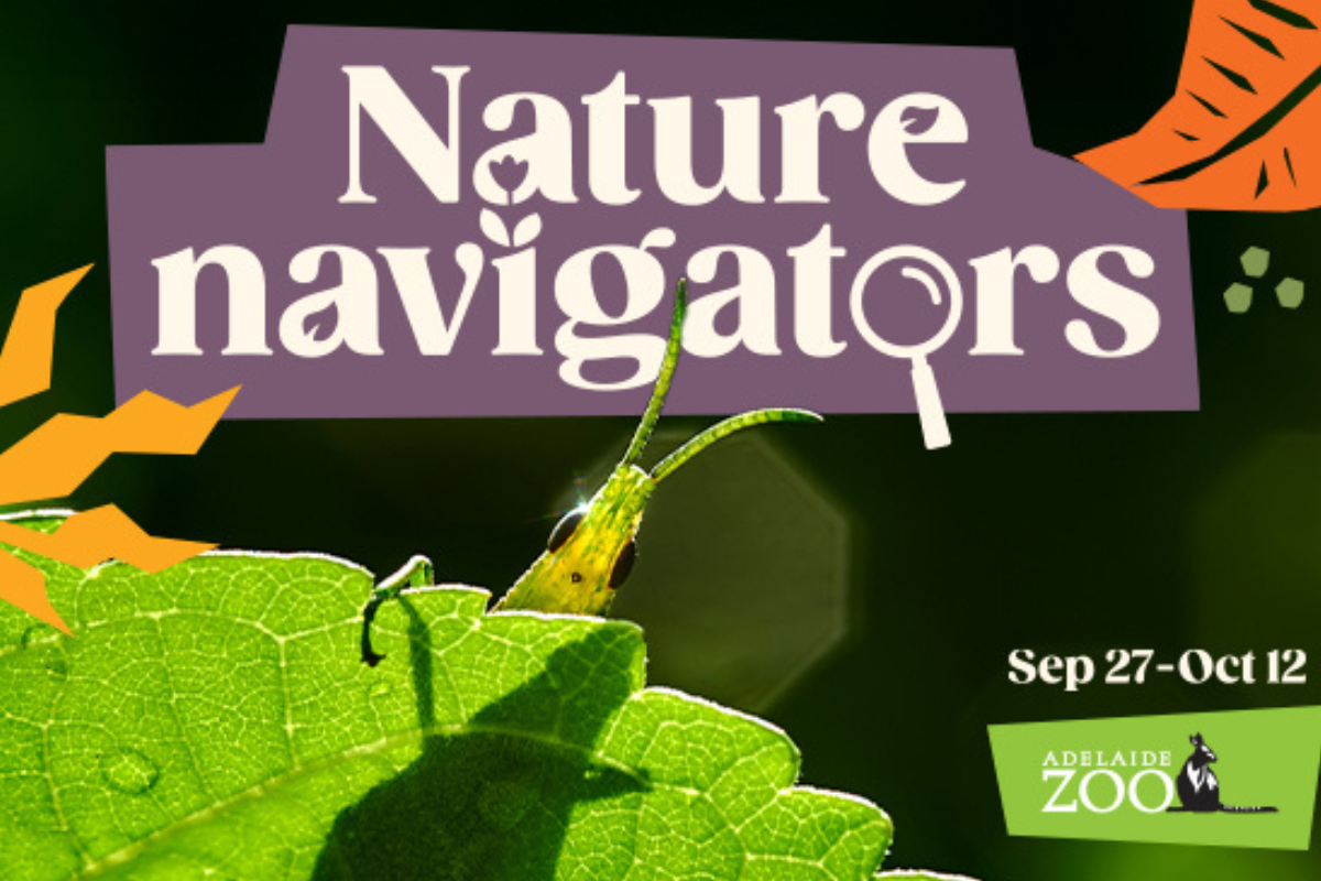Adelaide Nature Spring Nature Navigators at Adelaide Zoo - KIDDO Mag