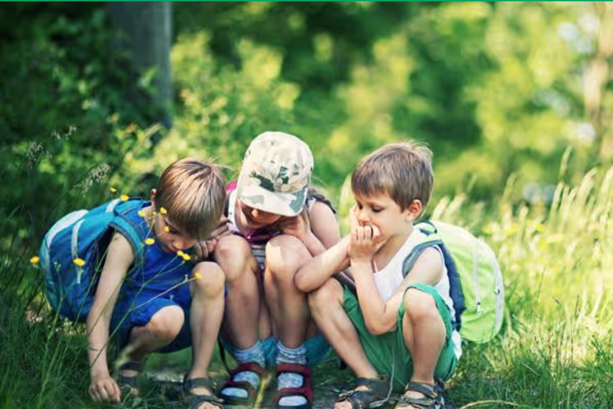 Three children sitting in grass